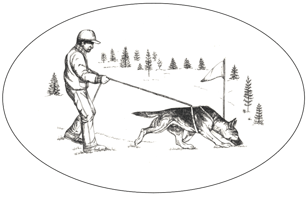 The John Mitkus Award