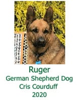 Ruger German Shepherd Dog Cris Courduff 2020